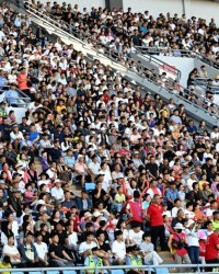 “延超”来了！！！